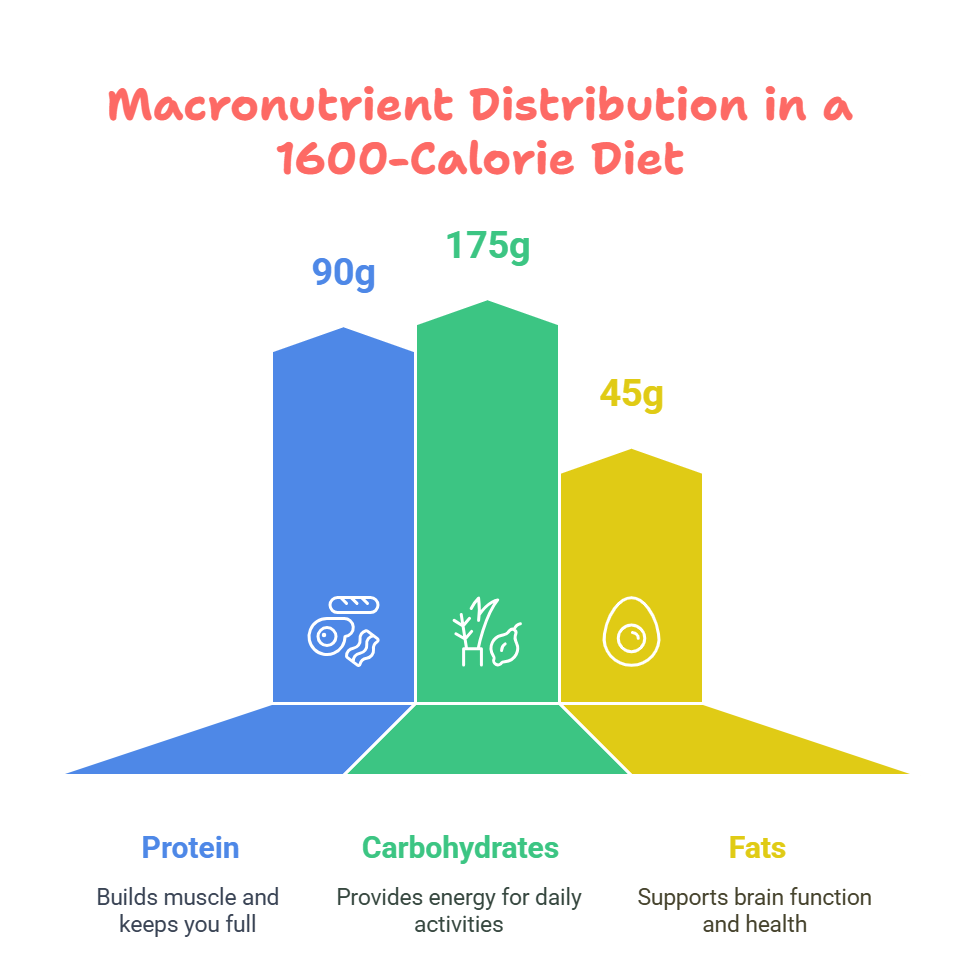 Macronutrient Breakdown