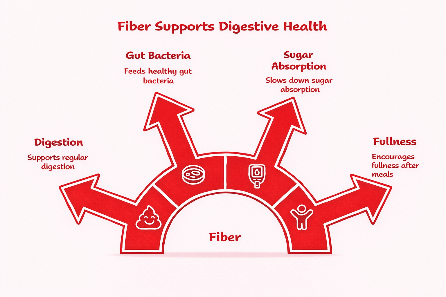 What is Fiber and Why it matters